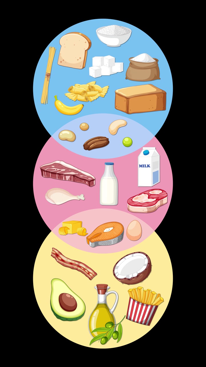 Diagrama de Venn animado categoriza carboidratos, proteínas e gorduras usando alimentos ilustrados em fundo preto.