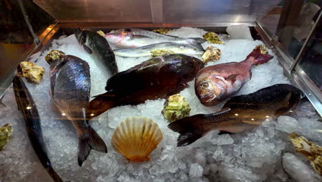 exhibición generosa de la generosidad del mar en un mercado en creta, grecia