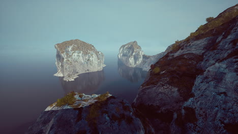 Aerial view of the beautiful cliffs in the sea