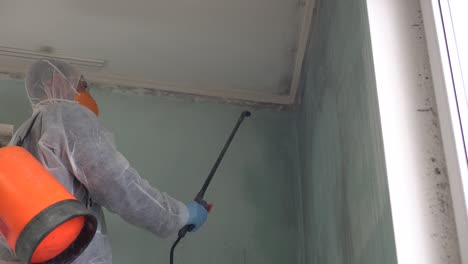 mold remediation expert. mold inspections and air quality testing