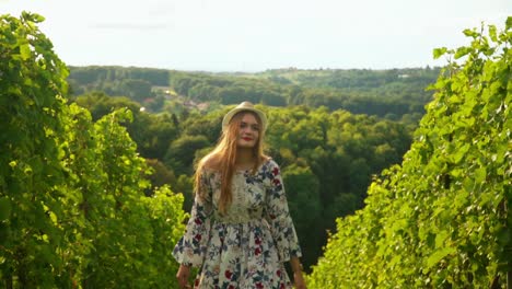 stunning hd footage of a young white caucasian woman with a knitted hat in a dress joyfully walking through vineyards and admiring the surroundings