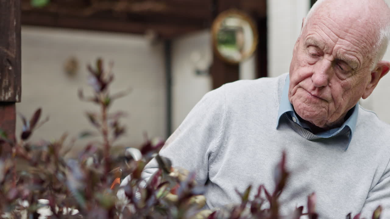 Senior man gardening