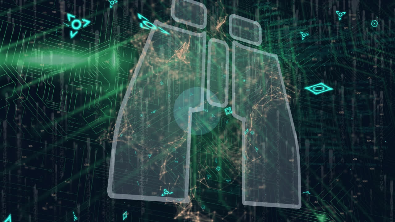 이진 코딩 및 금융 데이터를 통해 연결 네트워크의 애니메이션