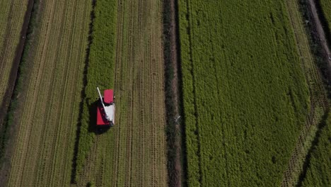 drone footage harvesting rice with a huge combine