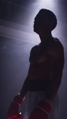 Vertical-Video-Studio-Shot-With-Low-Key-Lighting-Of-Silhouetted-Boxer-Ready-To-Fight-Standing-In-Pool-Of-Light-In-Boxing-Ring-Greeting-Crowd