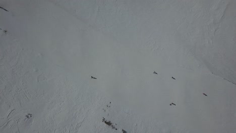 Fotografía-Cenital-Ascendente-Aérea-Sobre-Esquiadores-En-Una-Pista-De-Esquí