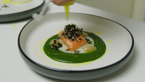 chef of restaurant serving luxury salmon meal with sauce on plate,close up