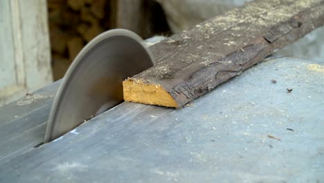 circular saw. the wizard cuts a wooden board on a circular saw. close-up.