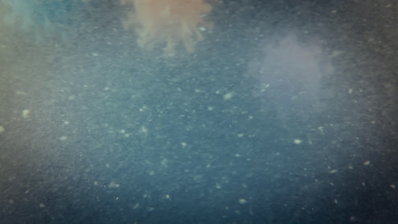 코로나19 팬데 ⁇  현미경 바이러스 분자 매크로 클로즈업.