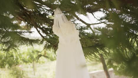 delicate white wedding dress hanging gracefully from a tree branch, surrounded by greenery, evoking a serene and natural atmosphere