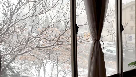 Living at home in cold freezing frozen winter when snowfall light snow cover the tree and street people walking with umbrella car driving to city center curtain on window warm house scenic landscape