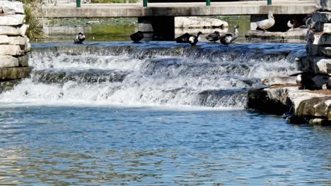 weir of water cascading down river scenic shot of city tourist spot