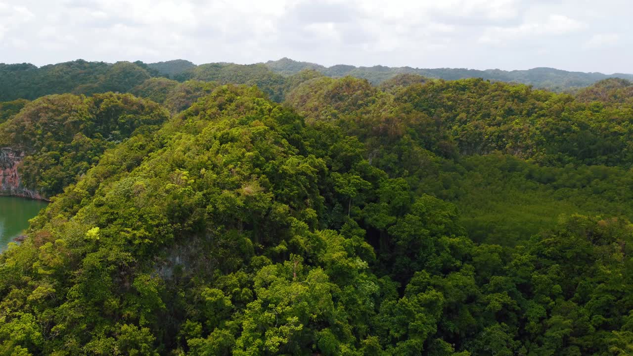 Aerial View of Lush Tropical Forest and Mountains
