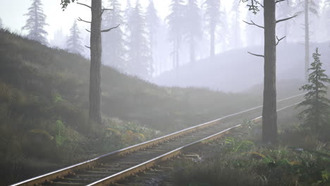 quiet morning along forest railway tracks in misty landscape