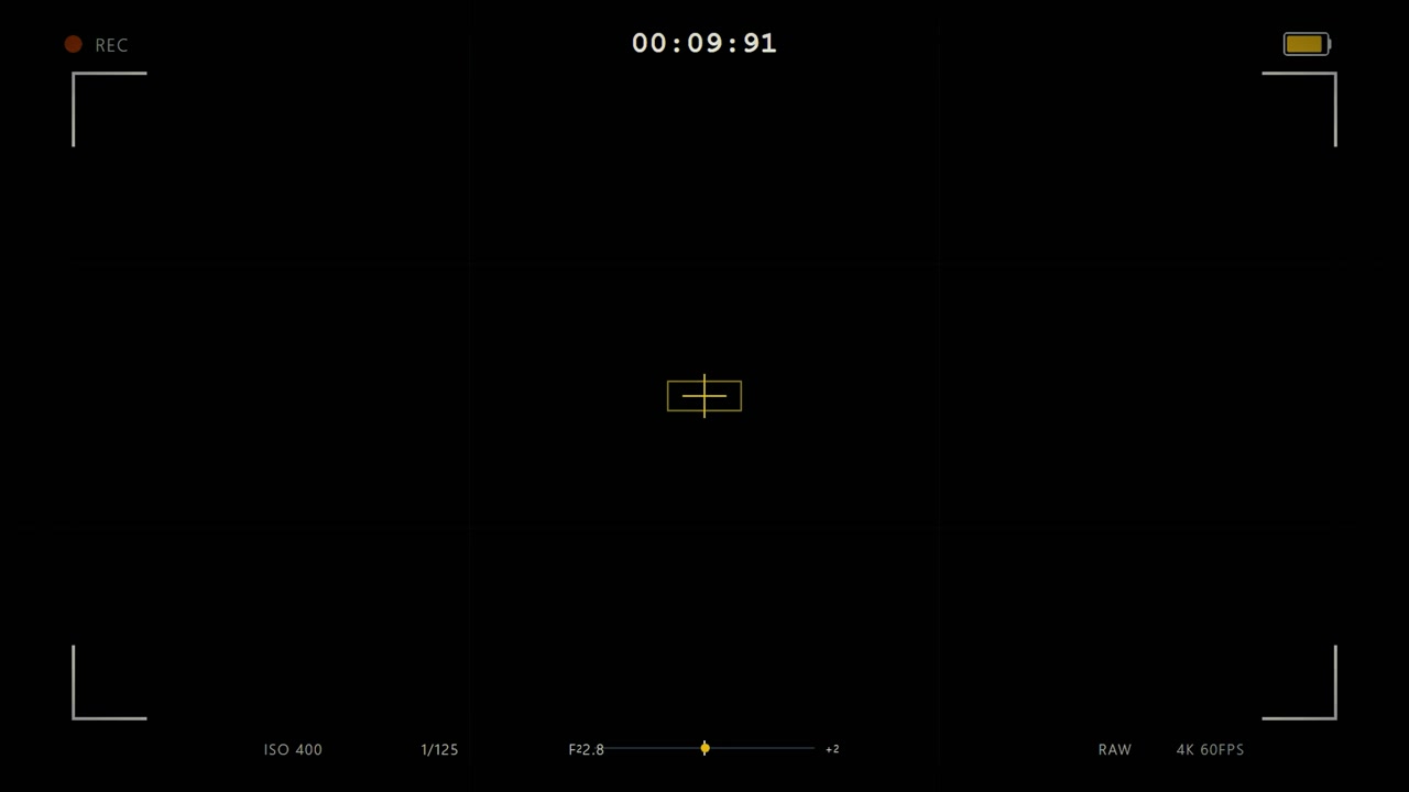 Digital Camera Viewfinder Overlay with Recording Interface