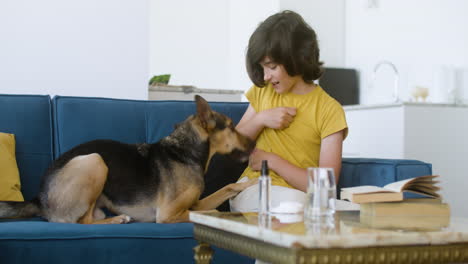 Niña-Y-Perro-Jugando-En-Casa