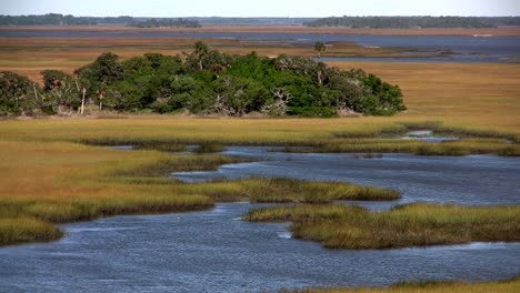 Ein-Salzmarsch-In-Der-Nähe-Von-St-Augustine-Florida