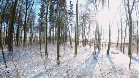aerial wide angle fpv flying in between thin bare trees on cold frosty day with sun shining in the sky