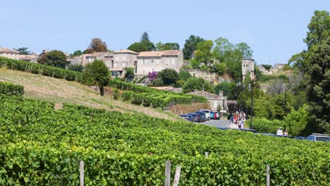 scenic vineyard landscape in bordeaux, france