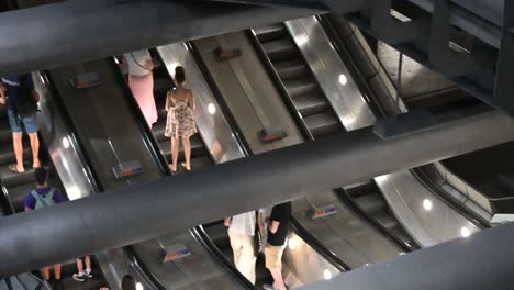 people using multiple escalators in a modern public space