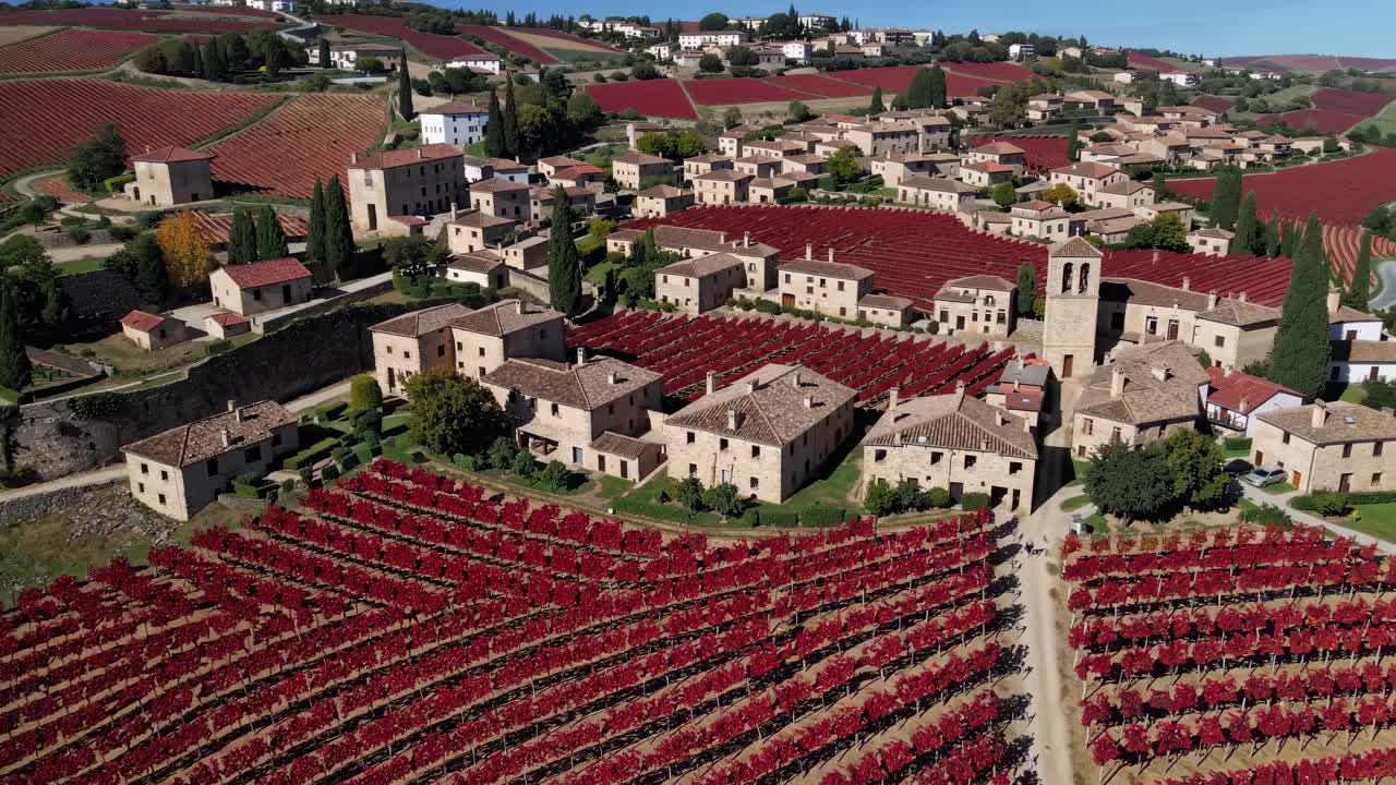 Vue aérienne d’un paysage pittoresque de vignoble toscan