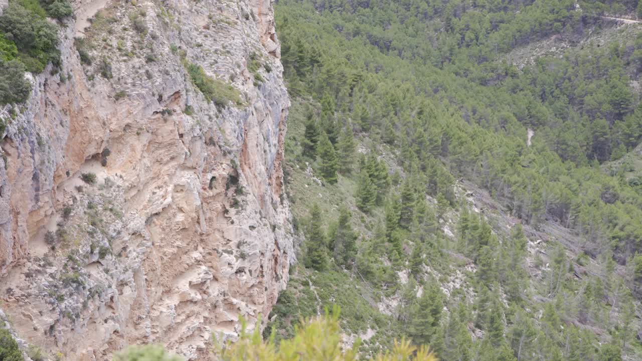 buitre volando más allá de un acantilado rocoso en el valle de la montaña, valencia, españa