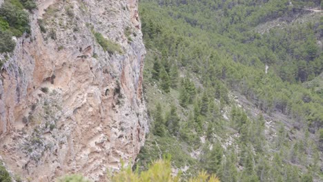 Geier-Fliegt-An-Einer-Felsigen-Klippe-Im-Bergtal,-Valencia,-Spanien-Vorbei