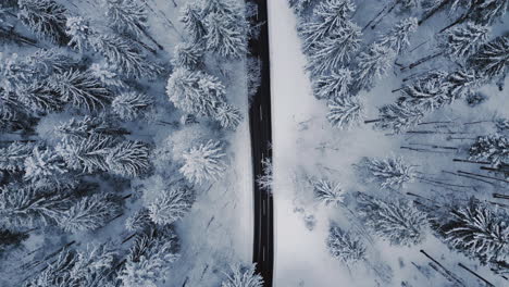 a captivating aerial view from above captures the tranquil beauty of a winter wonderland, featuring a snow-covered forest with a road winding through it