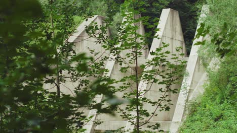 mysterious shot of a abandoned concrete structure in the forest