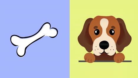 animation of cute pet dog and bone on yellow and lilac backgrounds