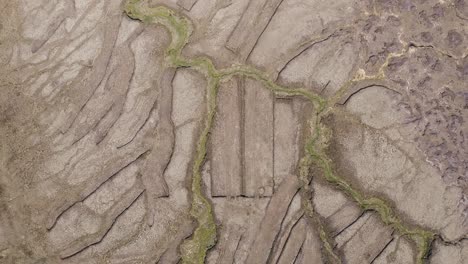 drone shot of a moorland and bog featuring a grid of peat banks where peat cutters extract peat for fuel