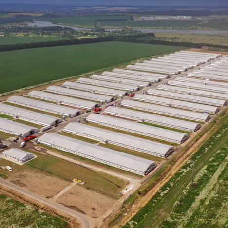 aerial view of modern chicken houses. new construction area for livestock on the green fields background in rural place.