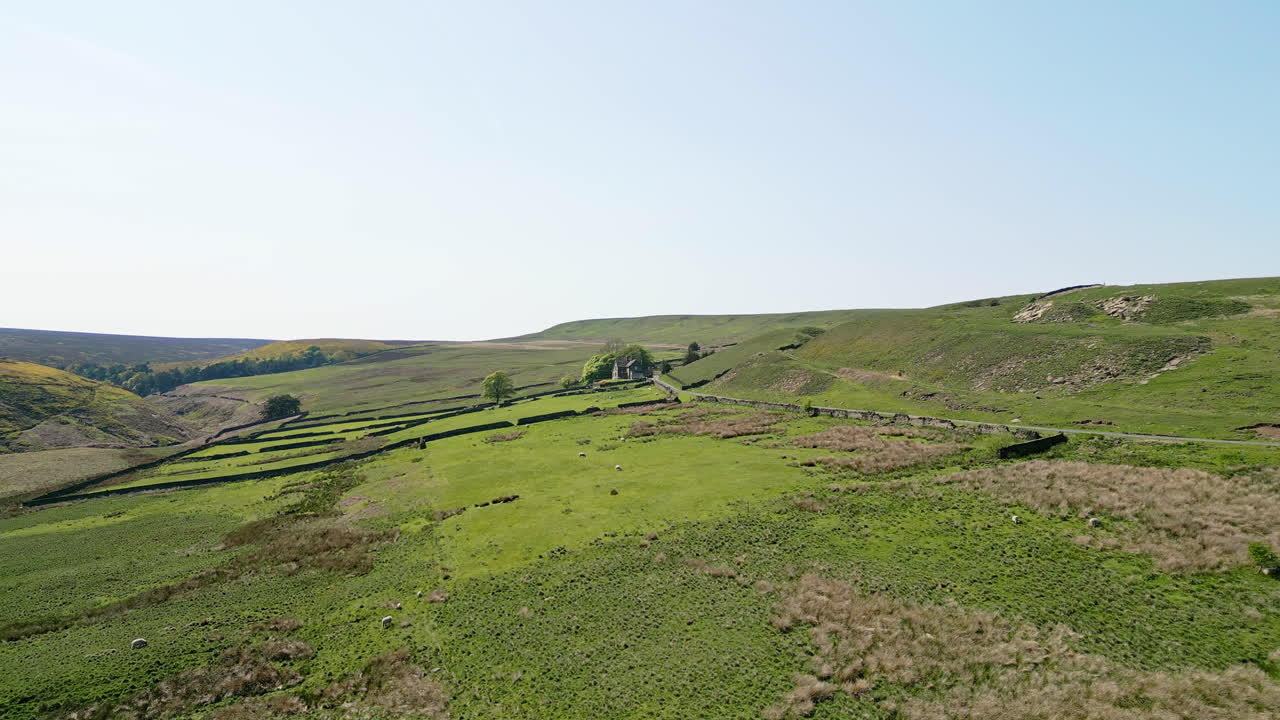 granja de yorkshire, con campos verdes pastoreando ovejas, paredes de piedra seca y una típica granja de campo