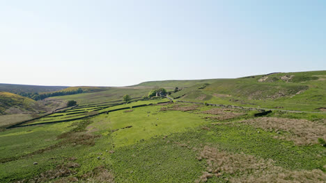Yorkshire-Farm-Mit-Grünen-Feldern-Mit-Grasenden-Schafen,-Trockenmauern-Und-Einem-Typischen-Ländlichen-Bauernhaus