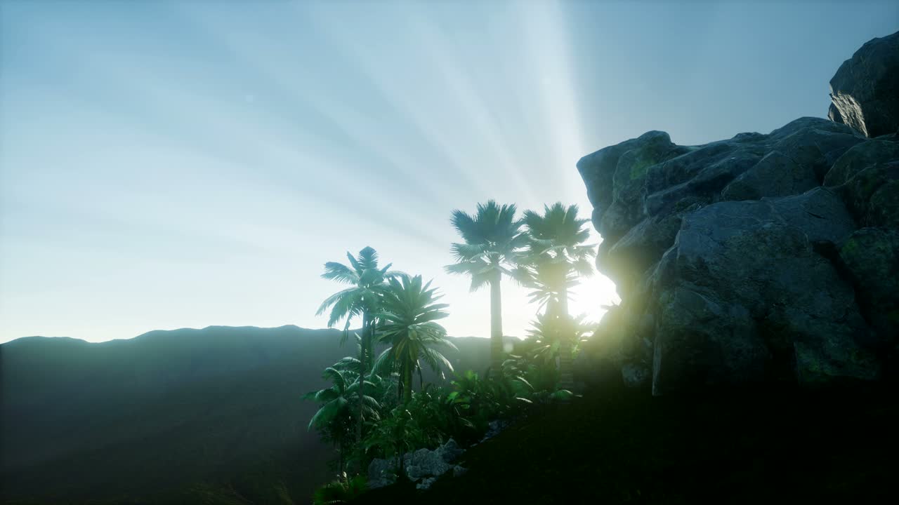 los rayos del atardecer a través de las palmeras