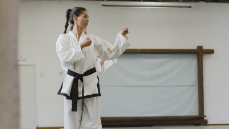 three martial artists practising indoors