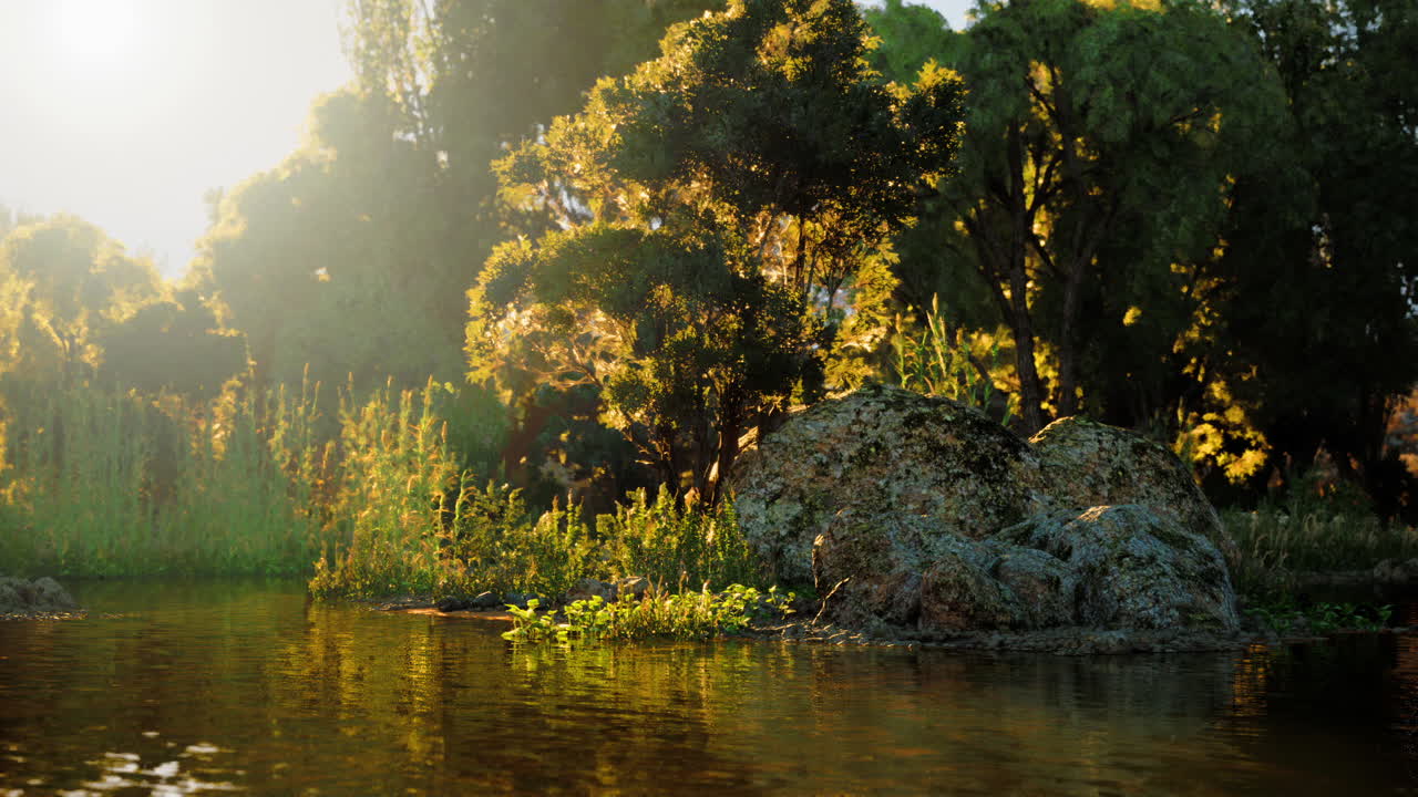 uma cena de floresta serena com um rio a fluir através dela, banhada na luz quente do sol a pôr.