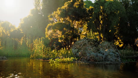 una escena de bosque sereno con un río que fluye a través de ella, bañado en la luz cálida del sol poniente.