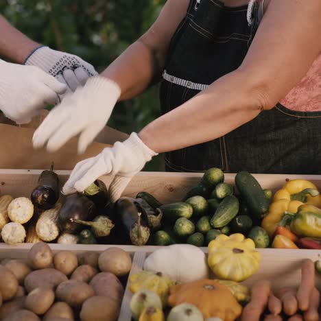 farmer puts the potatoes in a customer's package