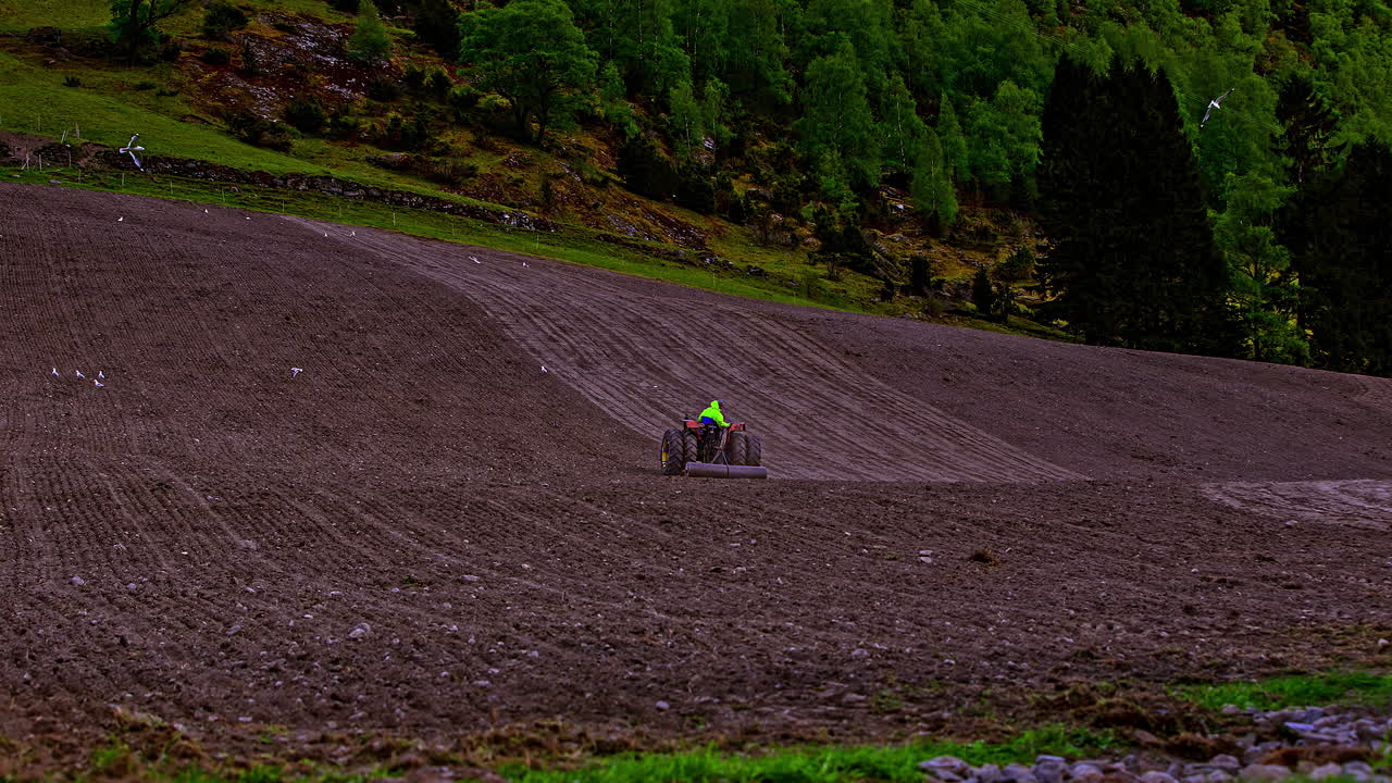 Ripresa in time-lapse di uccelli che beccano semi dal terreno agricolo mentre un trattore lavora il campo
