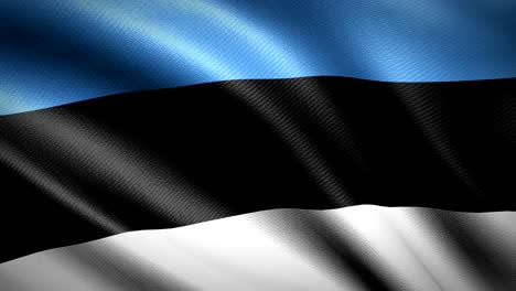 bandera de estonia. animación de bucle sin costuras. video de alta definición en 4k