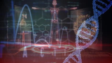 Animation-Des-DNA-Strangs-über-Datenverarbeitung-Und-Digitalen-Menschen