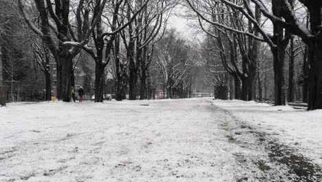 Leute,-Die-Im-Winter-Am-Straßenrand-Der-Avenue-De-Tervueren,-Einer-Hauptverkehrsstraße-In-Brüssel,-Belgien,-Spazieren-Gehen---Breite-Aufnahme