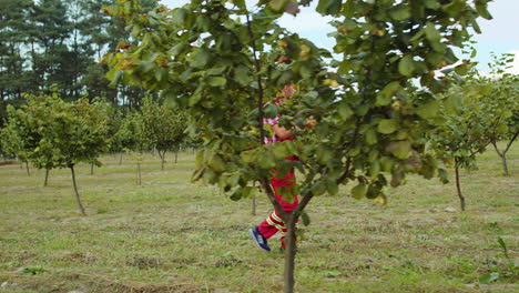 Gardener agronomist man farmer analyze quality of hazelnuts trees in garden making notes in journal