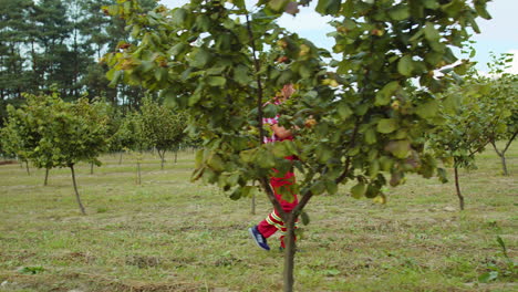 gardener agronomist man farmer analyze quality of hazelnuts trees in garden making notes in journal