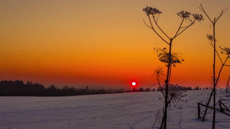 levantamiento del amanecer rojo en el paisaje de campo de invierno