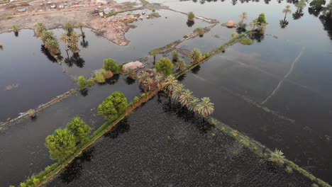 aerial view of rural farmland under water due to flooding in khairpur