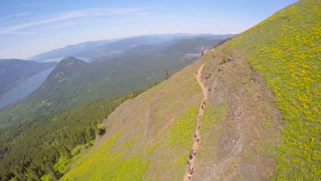 a beautiful aerial view along a hiking trail in the pacific northwest with the columbia river distant