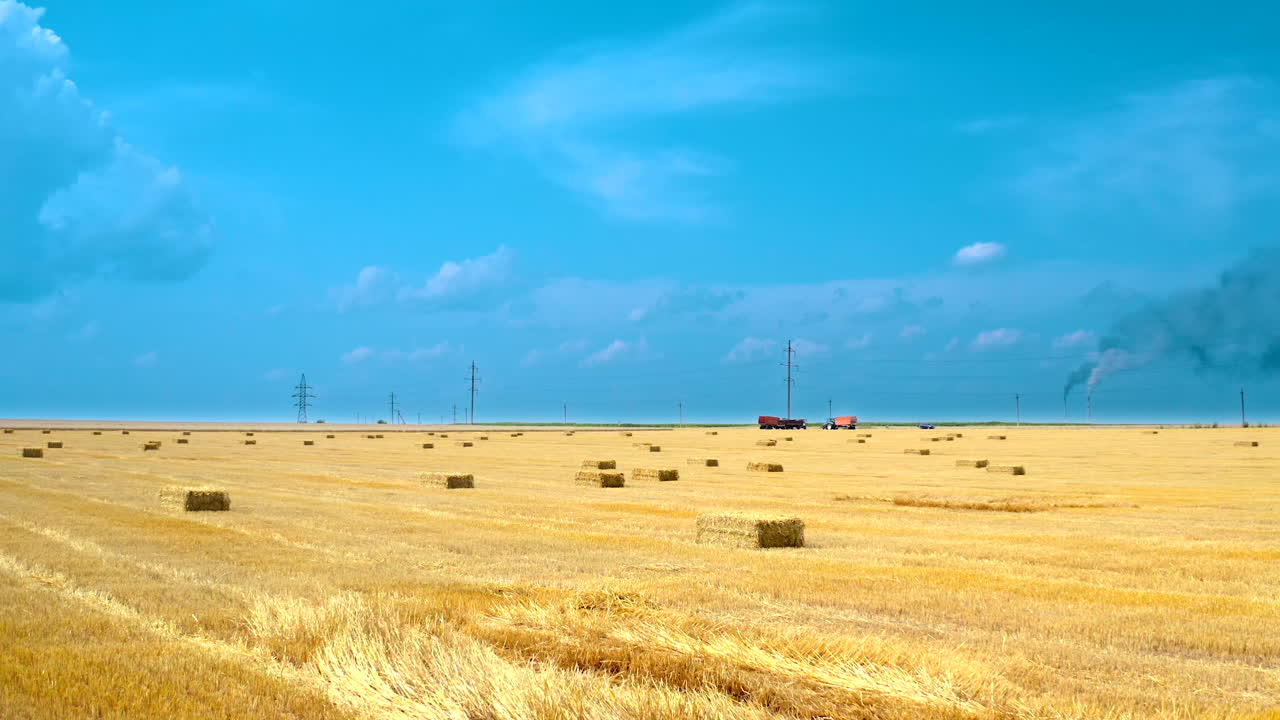 Yellow harvested field in contrast with blue sky. Pressed straw bales for livestock laying in farmland. Wrapped square bales in the countryside.