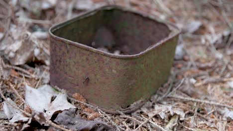 tin rusty can waste on forest floor